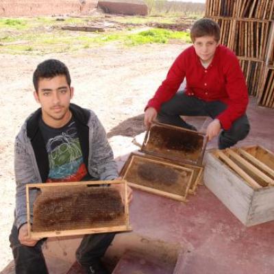 Photos de la visite du centre d'apiculture a marrakech.